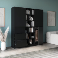 Современный распашной шкаф с полочками и ящиками Черный