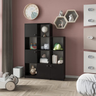 Книжный шкаф на 11 ячеек с дверцами на 11 полок Черный