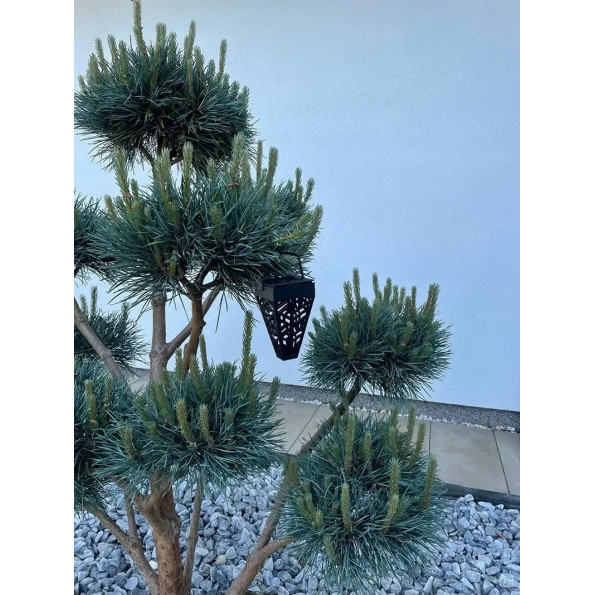 Лампа садова сонячна 6шт LED ліхтар для саду у стовпчику, з азурним малюнком -
                                                        Фото 5