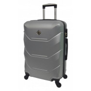Валіза середня срібна