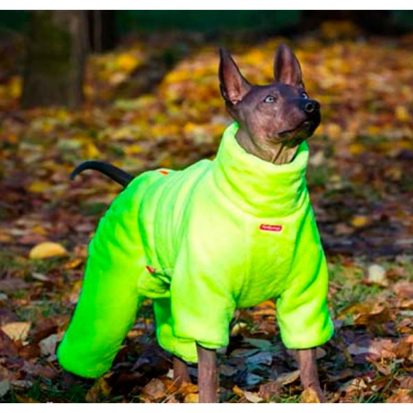 Зимний комбинезон для собак For My Dogs "Велюровая Зимняя Пижама" лимонный -
                                                        Фото 3