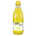 Iv San Bernard Fruit Of The Groomer шампунь для собак и котов ИМБИРЬ И БУЗИНА от перхоти, зуда 500мл