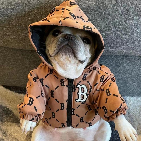 Брендова зимова куртка для собак BURBERRY з капюшоном, на змійці, коричнева -
                                                        Фото 4