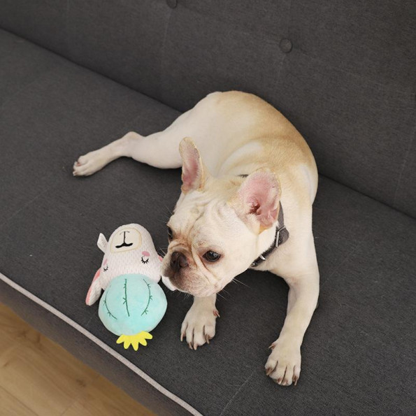 Іграшка для собак Elite Кактус-єдиноріг плюшевий зі звуком, білий 22*17см -
Фото 2 Іграшка для собак Elite Кактус-єдиноріг плюшевий зі звуком, білий 22*17см -
Фото 2