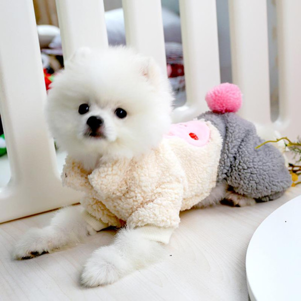 Плюшевый комбинезон для собак PetCircle Birthday RABBIT наряд на День Рождения, серый -
                                                        Фото 2