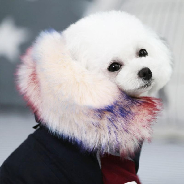 Зимняя парка для собак Cheepet на меховом подкладе, с капюшоном на меху, Синяя S -
                                                        Фото 6