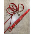 Ошейник с поводком для собак For My Dogs 3 ряда камней лаковый красный 2,5*30см