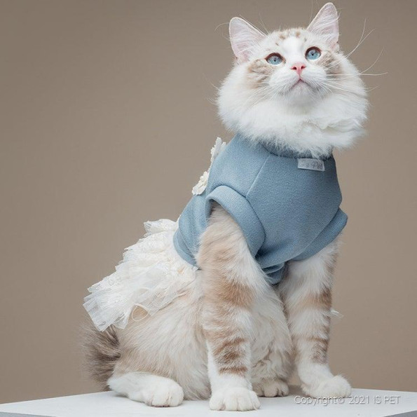 Сукня для собак Is Pet "Квіти" блакитна -
Фото 5 Сукня для собак Is Pet "Квіти" блакитна -
Фото 5