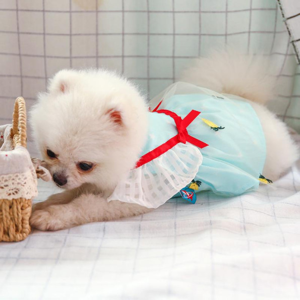 Платье для собак PetCircle "Ананасики" Голубой S -
                                                        Фото 5