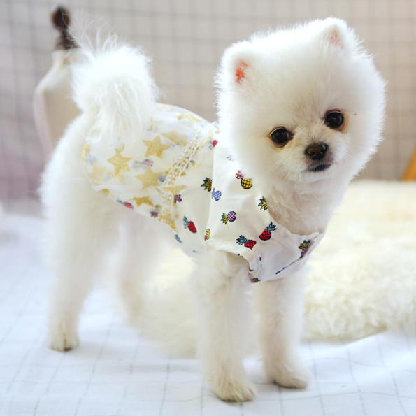 Сукня для собак PetCircle "Зірочки" білий -
                                                        Фото 4