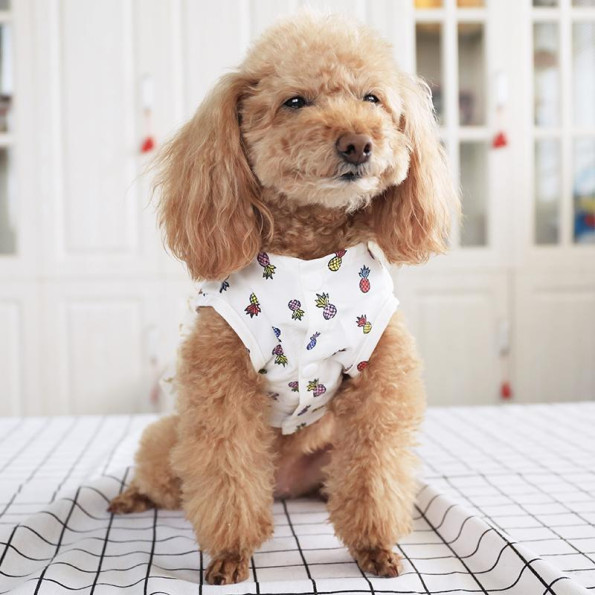 Сукня для собак PetCircle "Зірочки" білий -
                                                        Фото 5