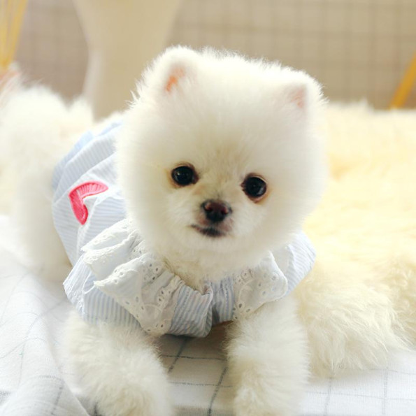Сукня для собак PetCircle "Серце" блакитний -
                                                        Фото 6