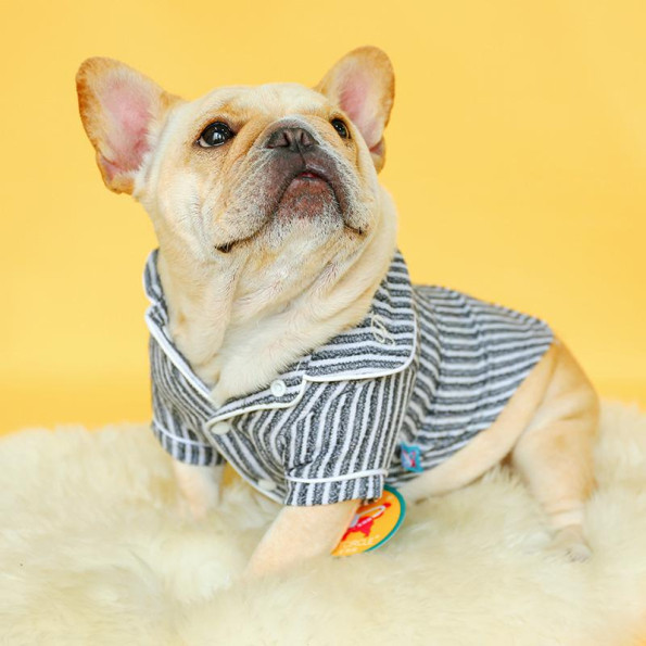 Рубашка для собак PetCircle "LUX P" серый -
                                                        Фото 5