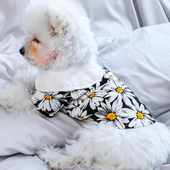 Рубашка для собак PetCircle "Ромашка" белый -
                                                        Фото 5