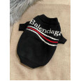 Брендовый свитер для собак BALENCIAGA Волна бело-красный XS