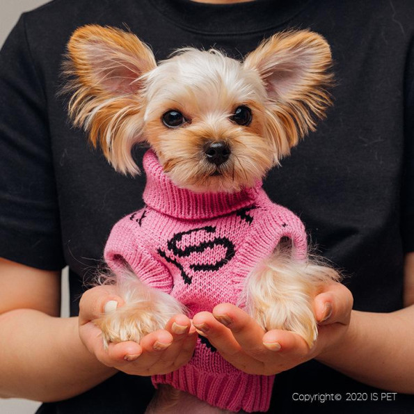 Свитер для собак Is Pet FAMILY LOOK без рукавов с надписями FOR YOU, Розовый FB2 -
                                                        Фото 3