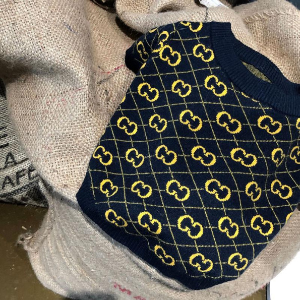 Брендовий светр для собак GUCCI із золотими значками бренду, синій