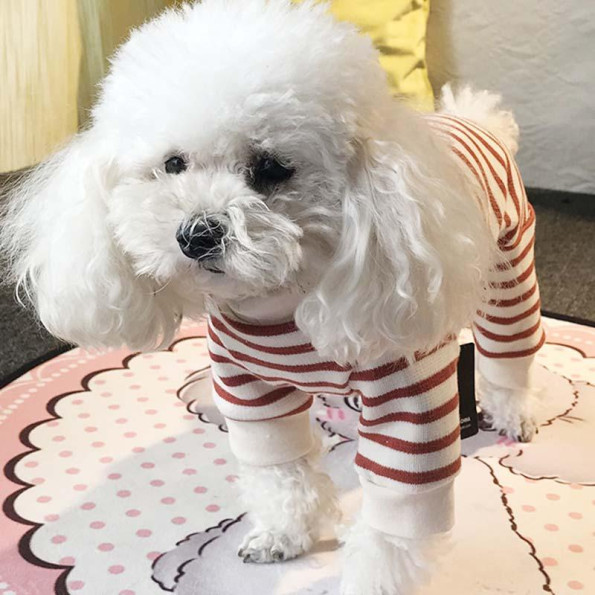 Вязанный Костюм для собак Cheepet в красную полоску, удлиненный ворот, бежевый -
                                                        Фото 2