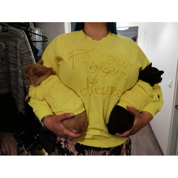 Толстовка для собак Family Look для собак и владельцев с надписью Follow Your Dream без капюшона желтого цвета -
                                                        Фото 6