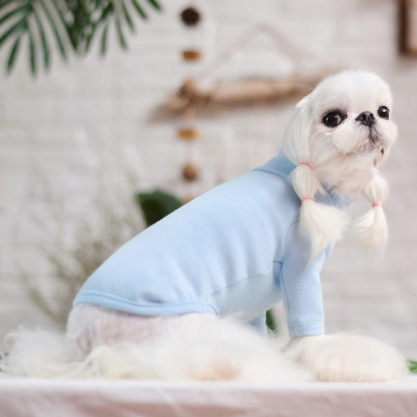 Гольф для собак Cheepet FRUITS зображені на комірі, блакитний -
                                                        Фото 4