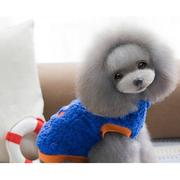 Толстовка для собак флісова для собак Cheepet з Якорем на спині, з капюшоном, зеленого кольору -
Фото 2 Толстовка для собак флісова для собак Cheepet з Якорем на спині, з капюшоном, зеленого кольору -
Фото 2