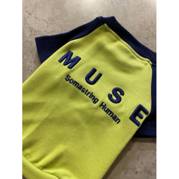 Толстовка для собак без капюшона, сині рукави, з написом MUSE, зеленого кольору -
Фото 2 Толстовка для собак без капюшона, сині рукави, з написом MUSE, зеленого кольору -
Фото 2