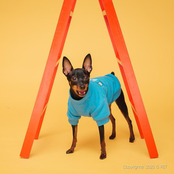Толстовка для собак Is Pet FAMILY LOOK "Кошки Мышки" синий -
                                                        Фото 3
