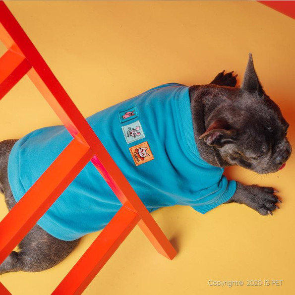 Толстовка для собак Is Pet FAMILY LOOK "Кошки Мышки" синий -
                                                        Фото 4