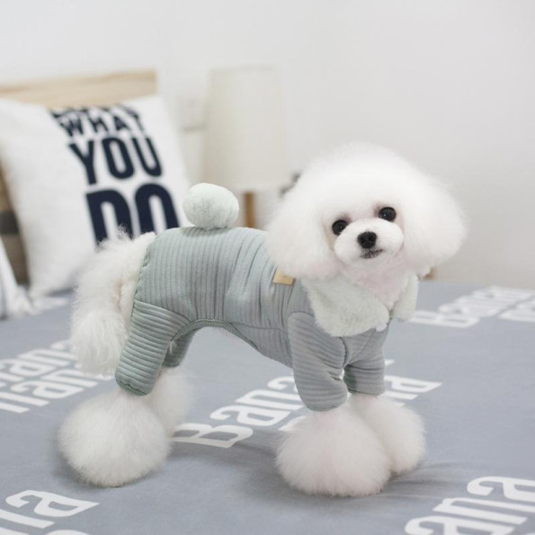 Трикотажний комбінезон для собак Cheepet з бубонечком на спинці So Cool Design, бірюзового кольору