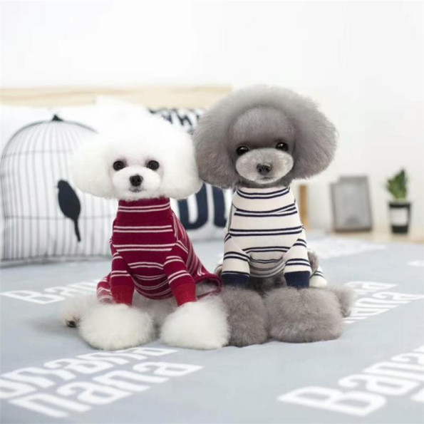 Трикотажний костюм для собак Cheepet з білими смужками, подовжені лапки, бордовий -
Фото 2 Трикотажний костюм для собак Cheepet з білими смужками, подовжені лапки, бордовий -
Фото 2