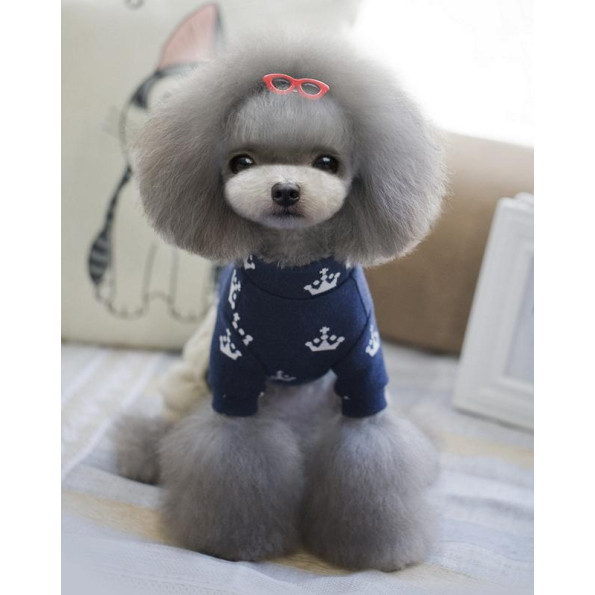 Костюм для собак Cheepet бежевые штаны, принт Короны на спинке, синий -
                                                        Фото 4