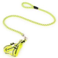 Шлея для собак нейлонова зі світловідбиваючими смугами, з повідцем круглим, салатова 