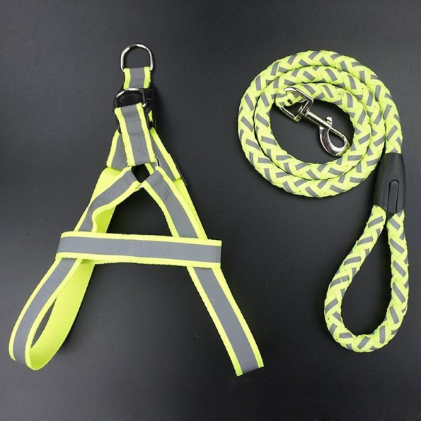 Шлея для собак нейлонова зі світловідбиваючими смугами, з повідцем круглим, салатова  -
                                                        Фото 3