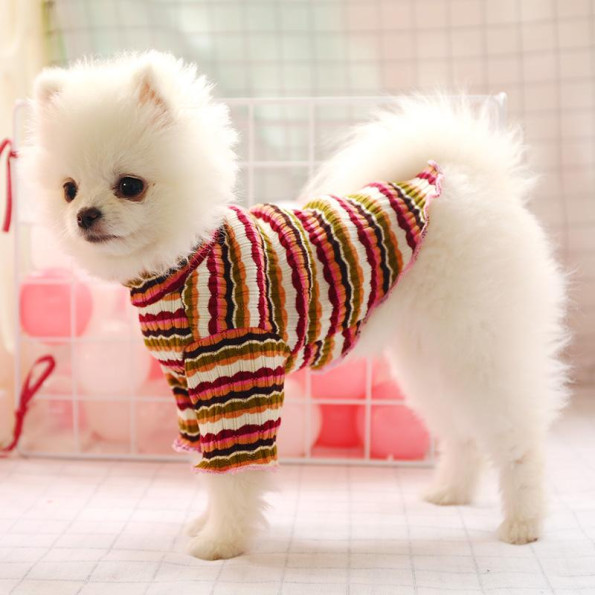 Гольф для собак PetCircle гіппюровий в дрібну поличку, бордовий -
Фото 3 Гольф для собак PetCircle гіппюровий в дрібну поличку, бордовий -
Фото 3