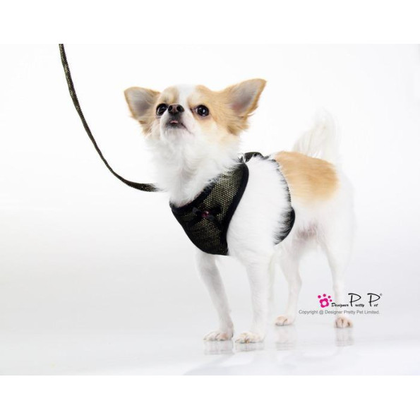 Шлея для собак Pretty Pet тканевая, нейлоновые ремешки, с поводком Bling-bling, золотой -
Фото 2 Шлея для собак Pretty Pet тканевая, нейлоновые ремешки, с поводком Bling-bling, золотой -
Фото 2