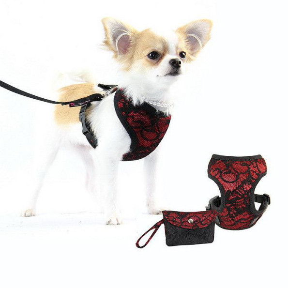 Шлея для собак Pretty Pet тканинна з мереживом, нейлонові ремінці, з повідцем, Fancy Lace червоний -
Фото 3 Шлея для собак Pretty Pet тканинна з мереживом, нейлонові ремінці, з повідцем, Fancy Lace червоний -
Фото 3