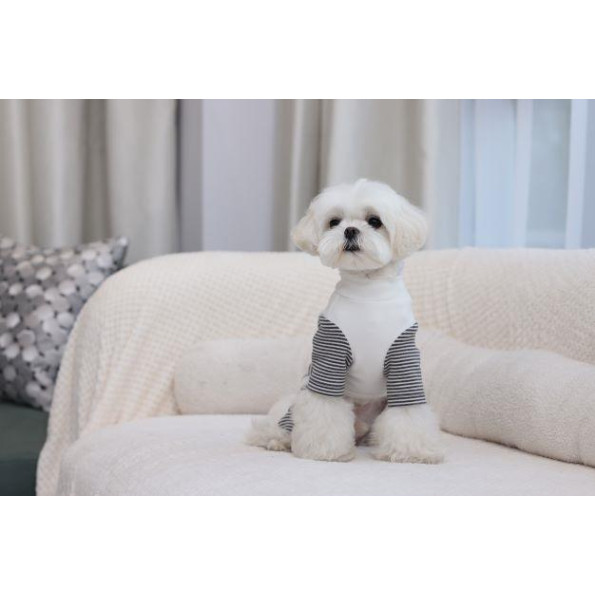 Трикотажний костюм для собак Cheepet в смужку, білий -
                                                        Фото 4