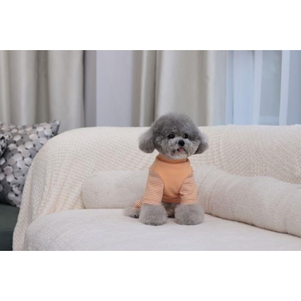 Трикотажний костюм для собак Cheepet у смужку, помаранчевий M -
                                                        Фото 4