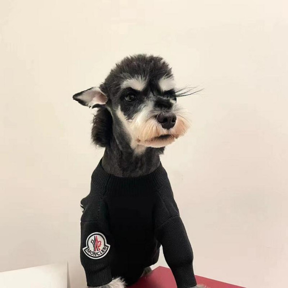 Брендовий светр для собак MONCLER з написом на спинці, чорний 2XL -
                                                        Фото 5