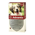 Advantix Капли от блох и клещей для собак весом 10-25кг 1амп.2,5мл