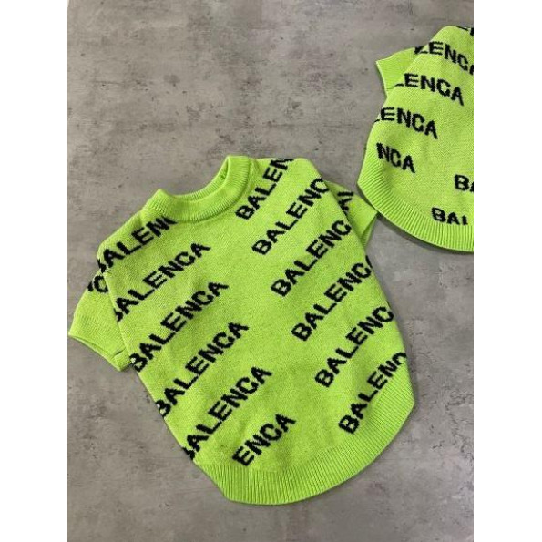 Брендовый свитер для собак Balenciaga двухслойная вязка зеленый XS
