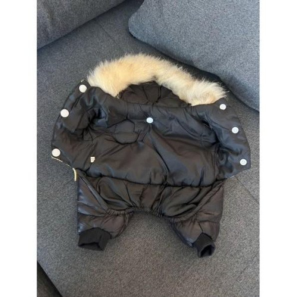 Брендовый зимний комбинезон для собак MONCLER , золотий -
Фото 2 Брендовый зимний комбинезон для собак MONCLER , золотий -
Фото 2