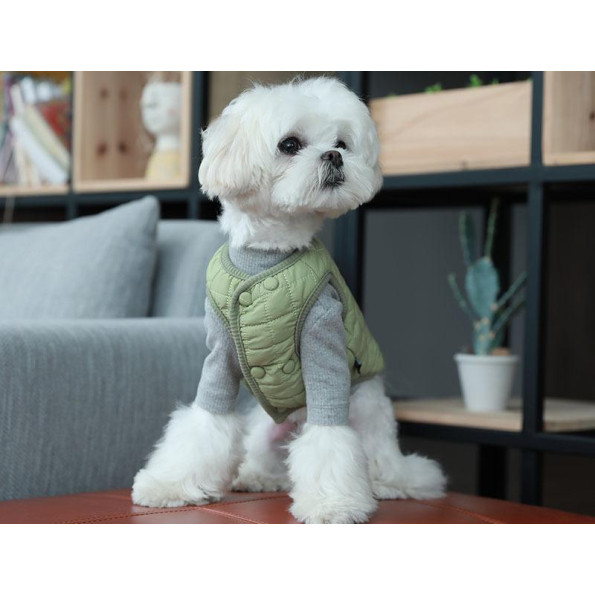 Жилетка для собак Cheepet Minni Doggy прошита смугами, на кнопках, зелена -
                                                        Фото 2