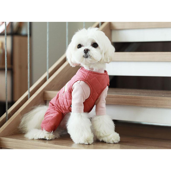 Зимний комбинезон для собак Cheepet "Кнопка" Бордовый S -
                                                        Фото 3
