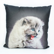 Подушка декоративная 40х40 см сублмация кот 372850