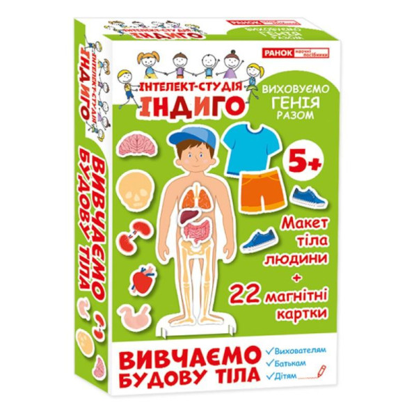 Детская развивающая игра на магнитах. Изучаем строение тела 13109081, 22 карточки в наборе Детская развивающая игра на магнитах. Изучаем строение тела 13109081, 22 карточки в наборе