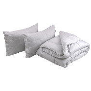 Демисезонное силиконовое одеяло Elegante 200х220 см с двумя подушками 50х70 см Демисезонное силиконовое одеяло Elegante 200х220 см с двумя подушками 50х70 см