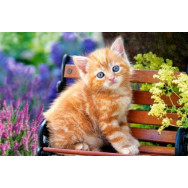 Головоломки Рыжий котенок, 32x5x22 см 500 элементов