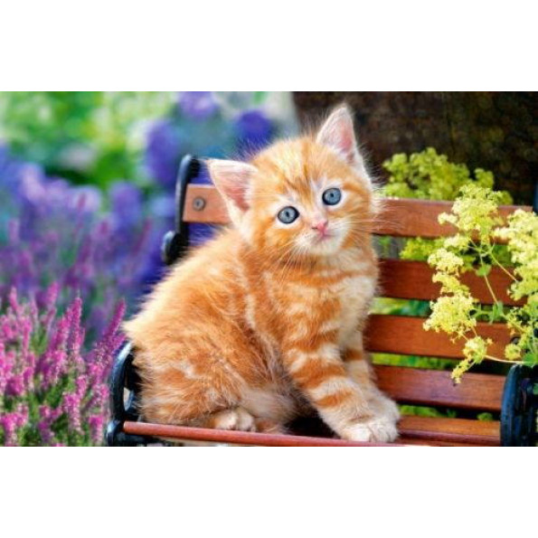 Головоломки Рыжий котенок, 32x5x22 см 500 элементов Головоломки Рыжий котенок, 32x5x22 см 500 элементов