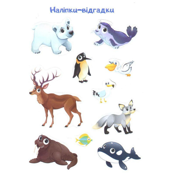 Книга Книга